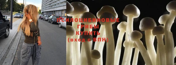 молекула духа Белокуриха