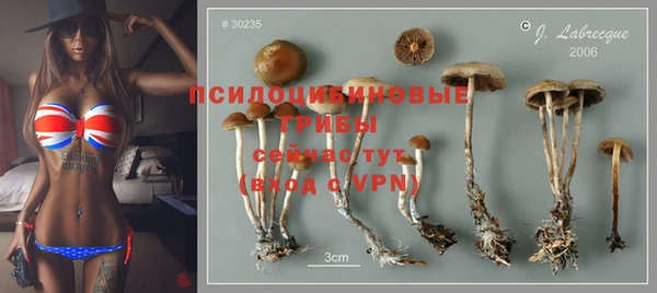 хмурый Белоозёрский