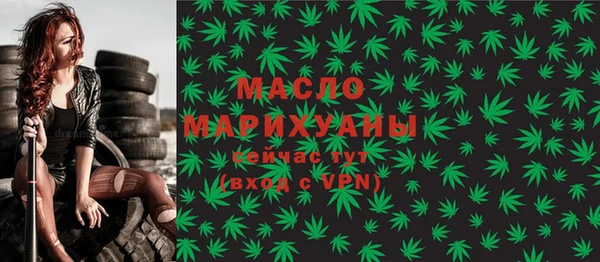 молекула духа Богородицк